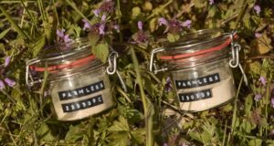 Farmless: Η εταιρεία που παράγει εναλλακτικές πρωτεΐνες “από κάτω προς τα πάνω” μέσω ζύμωσης