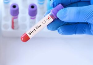 Θα μπορούσε ο H5N1 να πυροδοτήσει την επόμενη πανδημία στους ανθρώπους;
