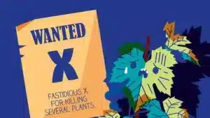 «Fastidious X, ο τρομακτικός δολοφόνος» – Η EFSA επιστρατεύει κόμικ ενημέρωσης για το παράσιτο Xylella fastidiosa