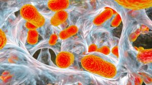 Βιοφίλμ από E. Coli: Έρευνα για την τάση προσκόλλησης σε διαφορετικές επιφάνειες 