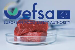 Κρέας εργαστηρίου στην Ευρώπη: Η EFSA αναμένει “κύμα” αιτήσεων για άδειες κυκλοφορίας