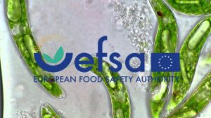 EFSA: Έγκριση του Paramylon ως NF για απώλεια βάρους