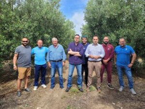 Χαλκιδική: Τραγική η κατάσταση για τους ελαιοπαραγωγούς λόγω της κλιματικής αλλαγής
