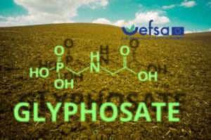 Η EFSA “αθωώνει” τη γλυφοσάτη: «Δεν υπάρχουν κρίσιμοι τομείς ανησυχίας»