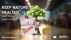 PlantHealth4Life: Η νέα εκστρατεία της EFSA και της ΕΕ
