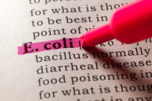 Η Γερμανία προειδοποιεί για E. coli όσους ταξιδεύουν για Αίγυπτο