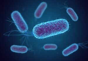 Σοβαρότερο ξέσπασμα E coli χτυπα τη Νορβηγία