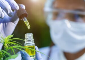 Εξαγορά 8 μαρκών μπύρας της Anheuser-Busch από την Tilray Brands- Ποιες οι λεπτομέρειες της συμφωνίας