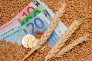 Αισχροκέρδεια σε άλευρα και πρώτες ύλες – Πρωτοβουλία ΣΥΡΙΖΑ για την προστασία των αρτοποιών