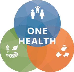 Τέλος του Ευρωπαϊκού προγράμματος One Health EJP