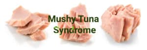 Βιομηχανία τόνου: Το σύνδρομο Mushy Tuna προκαλεί τεράστιες οικονομικές απώλειες