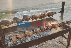 Θεσσαλονίκη: Συνελήφθη 35χρονος που έψησε και έφαγε σκαντζόχοιρους