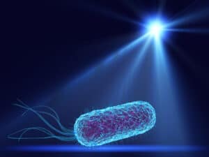 Τεχνολογία μπλε φωτός για την εξάλειψη Listeria από χώρους εστιατορίων ή σούπερ μάρκετ