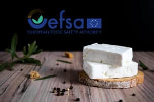 EFSA – Φέτα: Πράσινο φως για το ένζυμο λιπάση τριακυλογλυκερόλης στην παραγωγή φέτας και άλλων τυριών