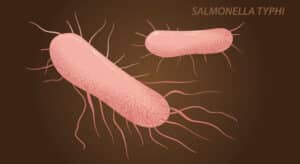 Θα εγκριθεί το νέο εμβόλιο κατά της Salmonella;