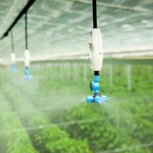 Βοιωτία: Στη βιώσιμη γεωργία επενδύει η Intelligent Green Crops (Μαγικός κήπος)