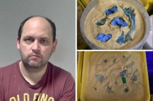 Food Sabotage: Στη φυλακή εργαζόμενος βιομηχανίας τροφίμων που μόλυνε με γάντια και σακούλες τα τρόφιμα