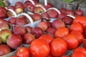 INCOFRUIT-HELLAS: Εντυπωσιακή αύξηση στις εισαγωγές μήλων και ντομάτας