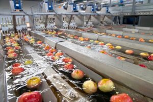 EFSA: Οι μικροβιολογικοί κίνδυνοι στο νερό επεξεργασίας νωπών προϊόντων