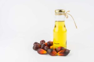 Φοινικέλαιο: Απροετοίμαστη η βιομηχανία για τον νέο ευρωπαϊκό κανονισμό για την αποψίλωση των δασών