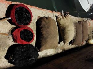 Παράνομη αλίευση αχινών: Χριστούγεννα με τσουχτερό πρόστιμο για δύο ψαράδες
