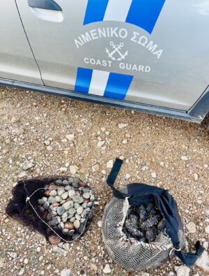 Υποβρύχιο ψάρεμα: Το λιμενικό “έπιασε στα πράσα” ερασιτέχνη ψαρά με 230 ολοθούρια και 4 κιλά κυδώνια