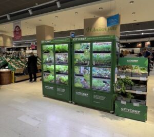 Πρωτοπορία από ελληνικό σουπερμάρκετ: Κάθετη καλλιέργεια λαχανικών μέσα σε κατάστημα