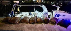 Ερασιτέχνες μάζεψαν 7.000 αχινούς σε μία ημέρα – Τους έπιασε το λιμενικό