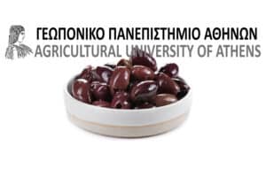 Ελιές Καλαμών με προβιοτικά: Άλλη μία επιτυχία του Γεωπονικού Πανεπιστημίου Αθηνών