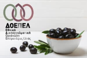 Η Εθνική ΔΟΕΠΕΛ καθησυχάζει τους καταναλωτές για τις χύμα επιτραπέζιες ελιές – Η απάντηση στην Γερμανική Αρχή Ασφάλειας Τροφίμων