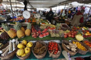 Τα νέα πρότυπα ασφάλειας τροφίμων από FAO και Codex Alimentarius