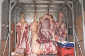 Μεταφορά κρεάτων: Οι μεγάλες αποστάσεις αυξάνουν τις πιθανότητες μόλυνσης από παθογόνα