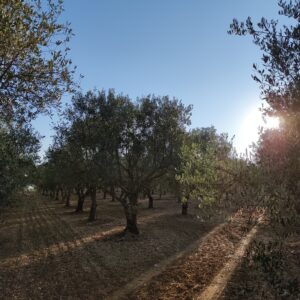 ΥπΑΑΤ: Υπεγράφη η πρόσκληση για το πρόγραμμα «Νέων Γεωργών»