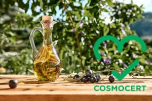 COSMOCERT: H πρώτη πιστοποίηση Αναγεννητικής Γεωργίας στον ελαιώνα Μητσακάκη
