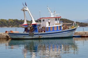 Αλιεία: Πρόσκληση για υποβολή αιτήσεων για οικονομική ενίσχυση για κατάργηση του γρίπου σε βιντζότρατες