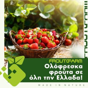 FROUTOFARM! Μια δυναμική, οικογενειακή εταιρεία, στο χώρο των φρέσκων φρούτων και λαχανικών!