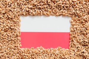 Αγρότες πέταξαν αυγά στα γραφεία της ΕΕ στην Πολωνία