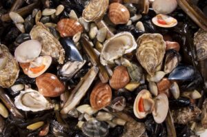 EE: Παρατείνεται η απαγόρευση εισαγωγής δίθυρων μαλακίων από την Τουρκία