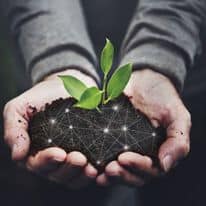 NitroFarm! Πρωτοπόρος στη Φυτοπροστασία και τη Βιολογική Γεωργία.