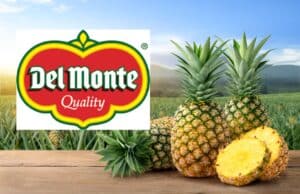 Ανανάς Del Monte: Απολύει τους φρουρούς της διάσημης φυτείας που έχουν κατηγορηθεί για δολοφονίες και βία