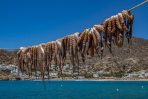 Είδατε χταπόδι στον ύπνο σας; Ποιος ο συμβολισμός και τι σημαίνει