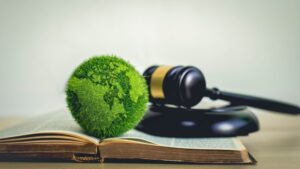 Περιβαλλοντικό έγκλημα: Νέος Ευρωπαϊκός νόμος με αυστηρότερες κυρώσεις και διευρυμένη λίστα αδικημάτων