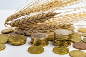 ΕΕ: Σχέδια για επιβολή δασμών στα σιτηρά που εισάγει από τη Ρωσία 