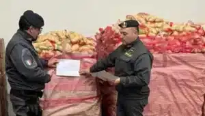 Italian Job: Όταν η απάτη τροφίμων αποκτά αποκτά Ιταλική φινέτσα – «Έλουζαν» πατάτες με κόκκινο χώμα για να φαίνονται Ιταλικές