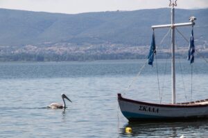 Απαγορεύτηκε η αλιεία στη λίμνη Βόλβη