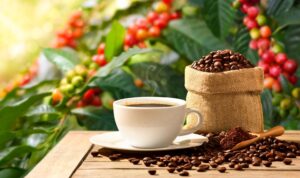 Έρχεται το τέλος του καφέ Arabica;