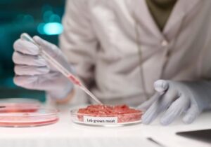 Φλόριντα: Το καλλιεργημένο κρέας ξανά στο επίκεντρο – “Σώζουμε τη βιομηχανία κρέατος”