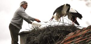 Μία συγκλονιστική ιστορία αγάπης που έκανε το γύρο του κόσμου