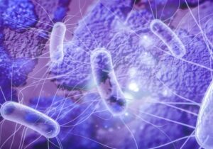 Όλη η αλήθεια για το E. coli – Δεν του αξίζει όλη η κακή του φήμη