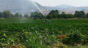 Ανάγκη για έργα διαχείρισης νερού στη Θεσσαλία – Η κλιματική κρίση δεν δίνει περιθώρια αναβολών